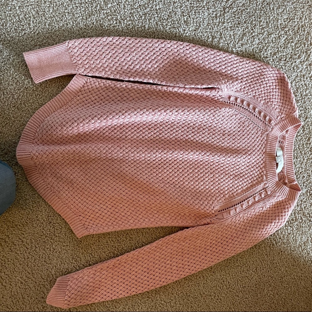 LOFT Foxtail Sweater